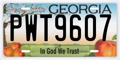 GA license plate PWT9607