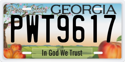GA license plate PWT9617