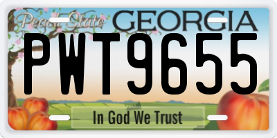 GA license plate PWT9655