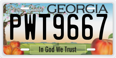 GA license plate PWT9667