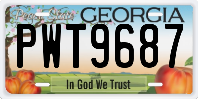 GA license plate PWT9687