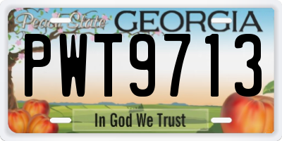 GA license plate PWT9713