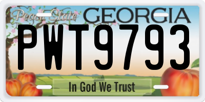 GA license plate PWT9793