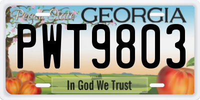 GA license plate PWT9803