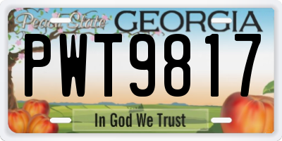 GA license plate PWT9817