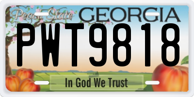 GA license plate PWT9818