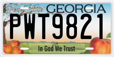 GA license plate PWT9821