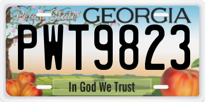 GA license plate PWT9823