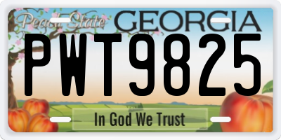 GA license plate PWT9825
