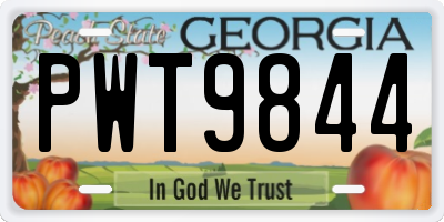 GA license plate PWT9844