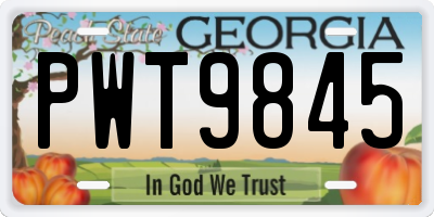 GA license plate PWT9845