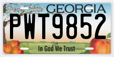 GA license plate PWT9852