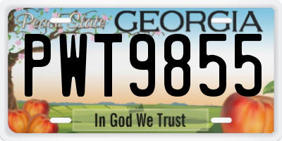 GA license plate PWT9855