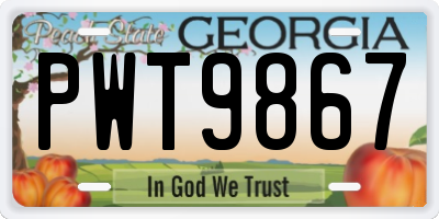 GA license plate PWT9867
