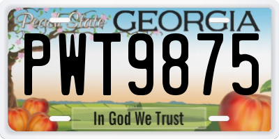 GA license plate PWT9875