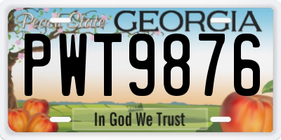 GA license plate PWT9876