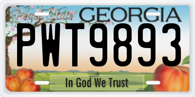 GA license plate PWT9893