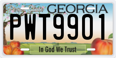 GA license plate PWT9901