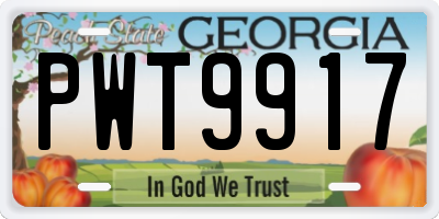 GA license plate PWT9917