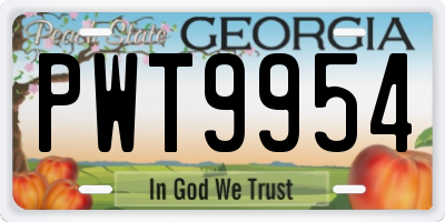 GA license plate PWT9954