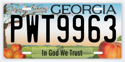 GA license plate PWT9963