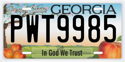 GA license plate PWT9985