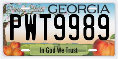 GA license plate PWT9989
