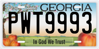 GA license plate PWT9993