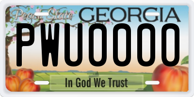 GA license plate PWU0000