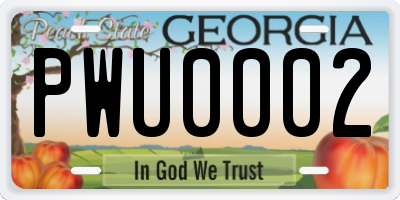 GA license plate PWU0002