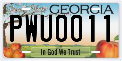 GA license plate PWU0011