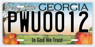 GA license plate PWU0012