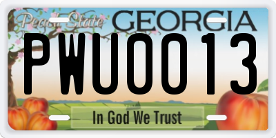 GA license plate PWU0013