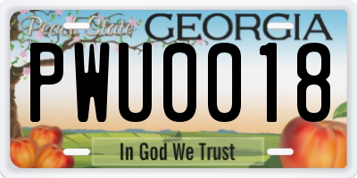 GA license plate PWU0018