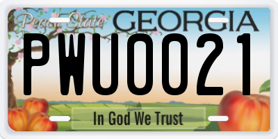 GA license plate PWU0021