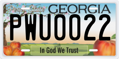 GA license plate PWU0022