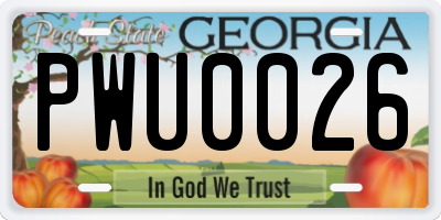 GA license plate PWU0026