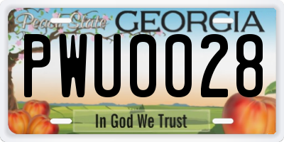 GA license plate PWU0028