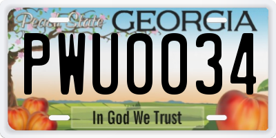 GA license plate PWU0034