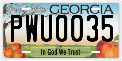 GA license plate PWU0035