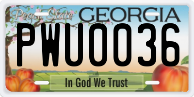 GA license plate PWU0036