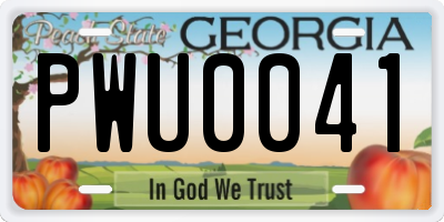 GA license plate PWU0041
