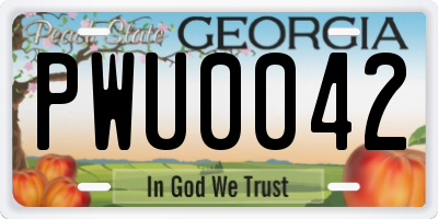 GA license plate PWU0042