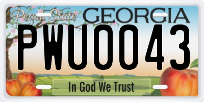 GA license plate PWU0043