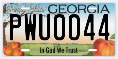GA license plate PWU0044