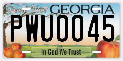 GA license plate PWU0045
