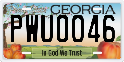 GA license plate PWU0046