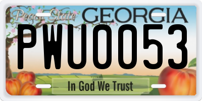 GA license plate PWU0053