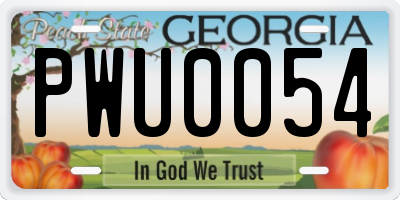 GA license plate PWU0054