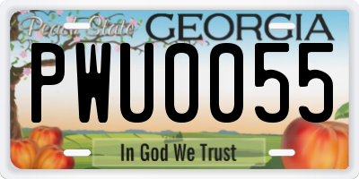 GA license plate PWU0055